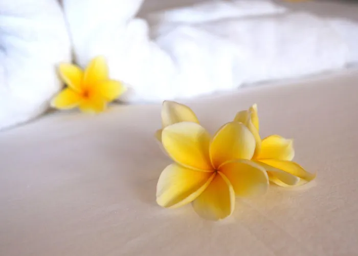 Cove Urbanest 4* Seminyak